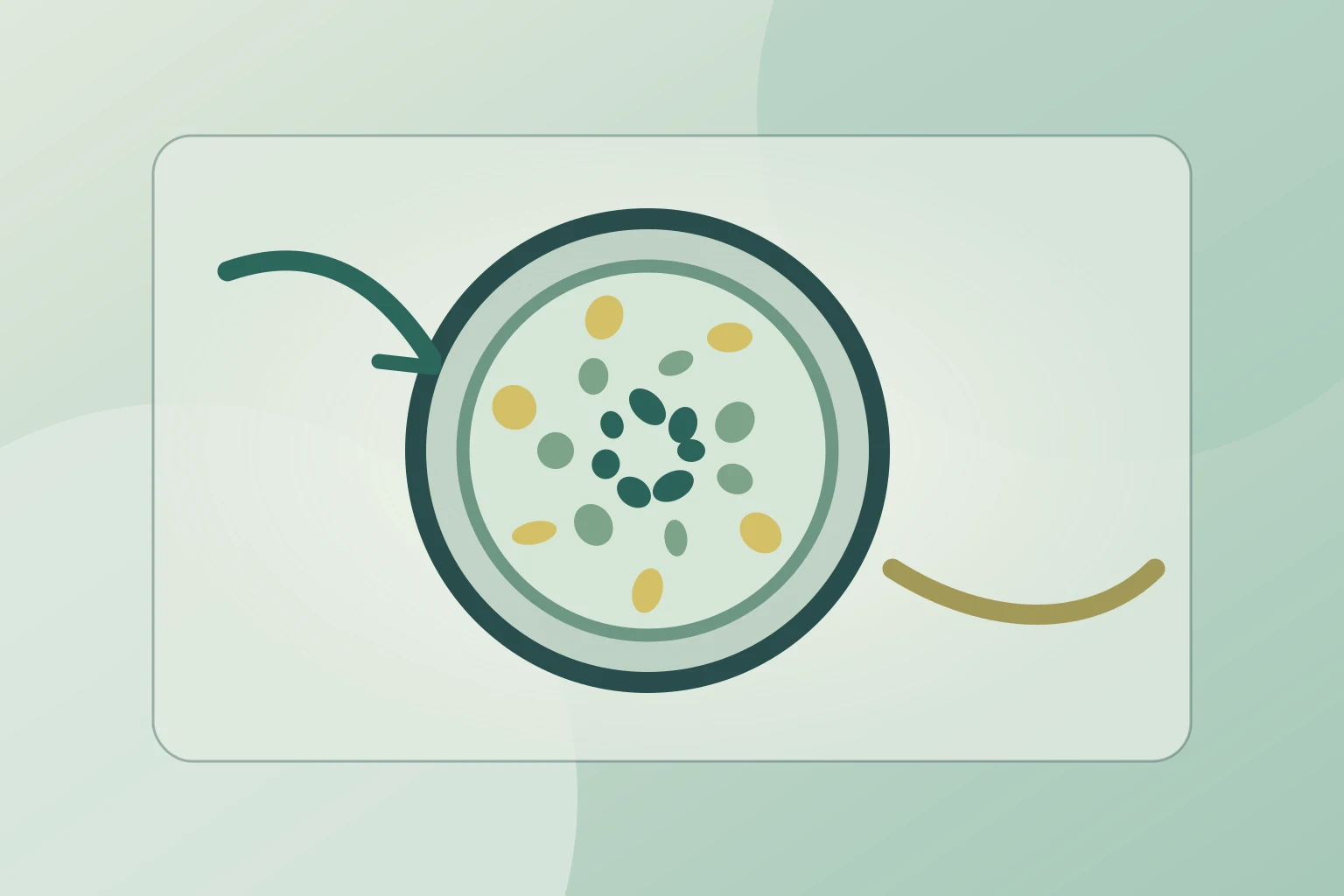 Original conceptual illustration of lysosomal recycling and immune-cell clearance.
